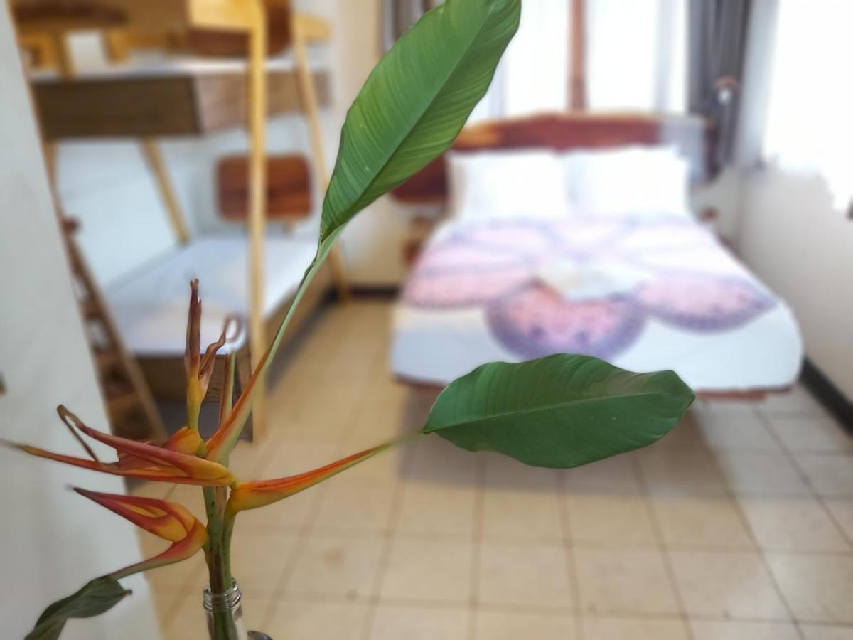 Casa Benjamin Linder Hotel Managua Ngoại thất bức ảnh