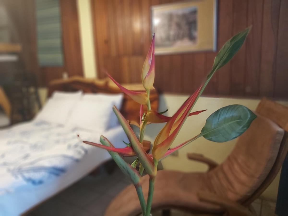 Casa Benjamin Linder Hotel Managua Ngoại thất bức ảnh